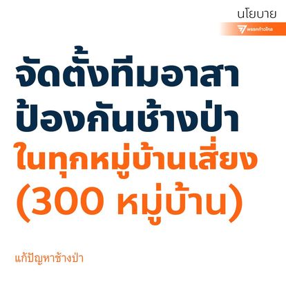 นโยบาย 300